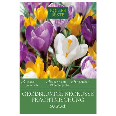 großblumige Krokusse Prachtmischung, 50 Blumenzwiebeln großblumige Krokusse Prachtmischung, 50 Blumenzwiebeln