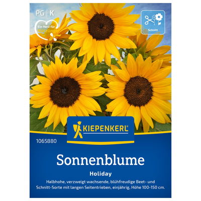 Blumensamen, Sonnenblume 'Holiday' Blumensamen, Sonnenblume 'Holiday'