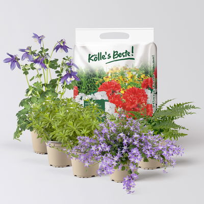 Pflanzenkreation Gartenmagie, klein, 5 Pflanzen inkl. Erde Pflanzenkreation Gartenmagie, klein, 5 Pflanzen inkl. Erde