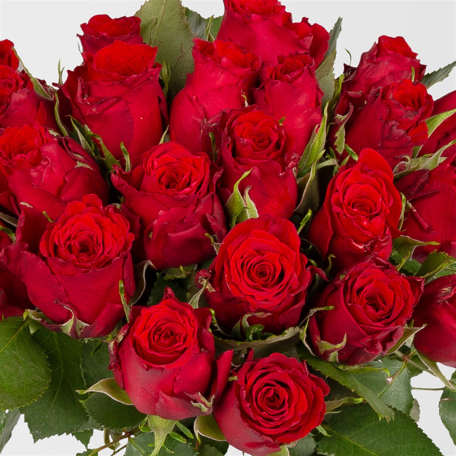 Blumenbund mit Rosen, 20er-Bund, rot, inkl. gratis Grußkarte