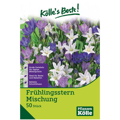 Frühlingsstern Mischung, Größe 5+, 50 Blumenzwiebeln Frühlingsstern Mischung, Größe 5+, 50 Blumenzwiebeln