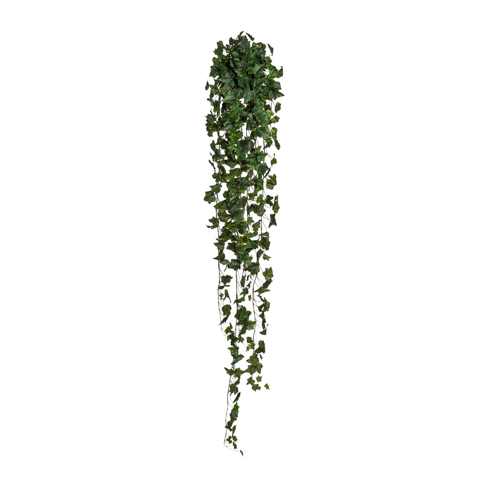 Kunstpflanze Englischer Efeuhänger, ca. 423 Blätter, Höhe ca. 170 cm