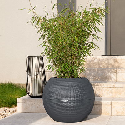 Lechuza 'Puro Color 50', schiefergrau, ca. Ø 50 x H 39 cm Lechuza 'Puro Color 50', schiefergrau, ca. Ø 50 x H 39 cm