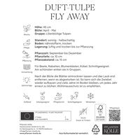 Dufttulpe 'Fly Away'®, 7 Zwiebeln, rot/gelb, Gr. 12+