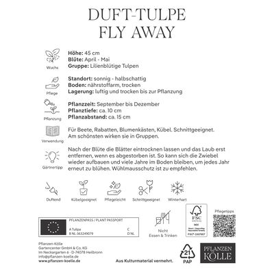 Dufttulpe 'Fly Away'®, 7 Zwiebeln, rot/gelb, Gr. 12+ Dufttulpe 'Fly Away'®, 7 Zwiebeln, rot/gelb, Gr. 12+