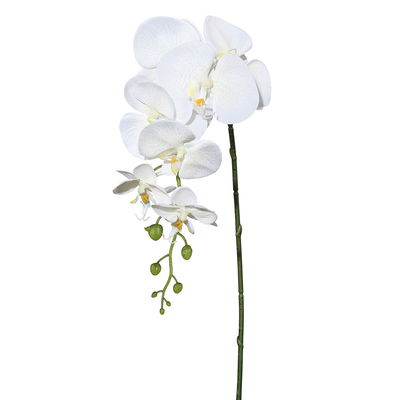 Kunstpflanze Orchideenzweig, creme, Höhe ca. 86 cm Kunstpflanze Orchideenzweig, creme, Höhe ca. 86 cm