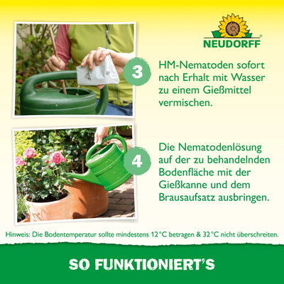 Neudorff Bestell-Set Nützlinge gegen Dickmaulrüssler, 50 Mio Stück Neudorff Bestell-Set Nützlinge gegen Dickmaulrüssler, 50 Mio Stück