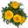 Tagetes, Farbe zufällig, Topf-Ø 12 cm, 6er-Set