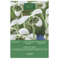 Kölles Beste Schneeglöckchen 'Hippolyta®', 7 Blumenzwiebeln