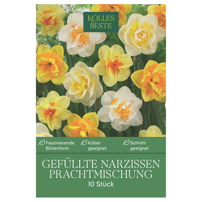Gefüllte Narzissen Prachtmischung, 10 Blumenzwiebeln