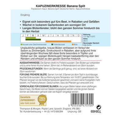 Kapuzinerkresse (Tropaeolum) Banana Split / einjährig, üppig, gold-gelbe Blüten Kapuzinerkresse (Tropaeolum) Banana Split / einjährig, üppig, gold-gelbe Blüten