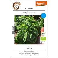 Thompson & Morgan Saatgut Basilikum 'Giulia', grün