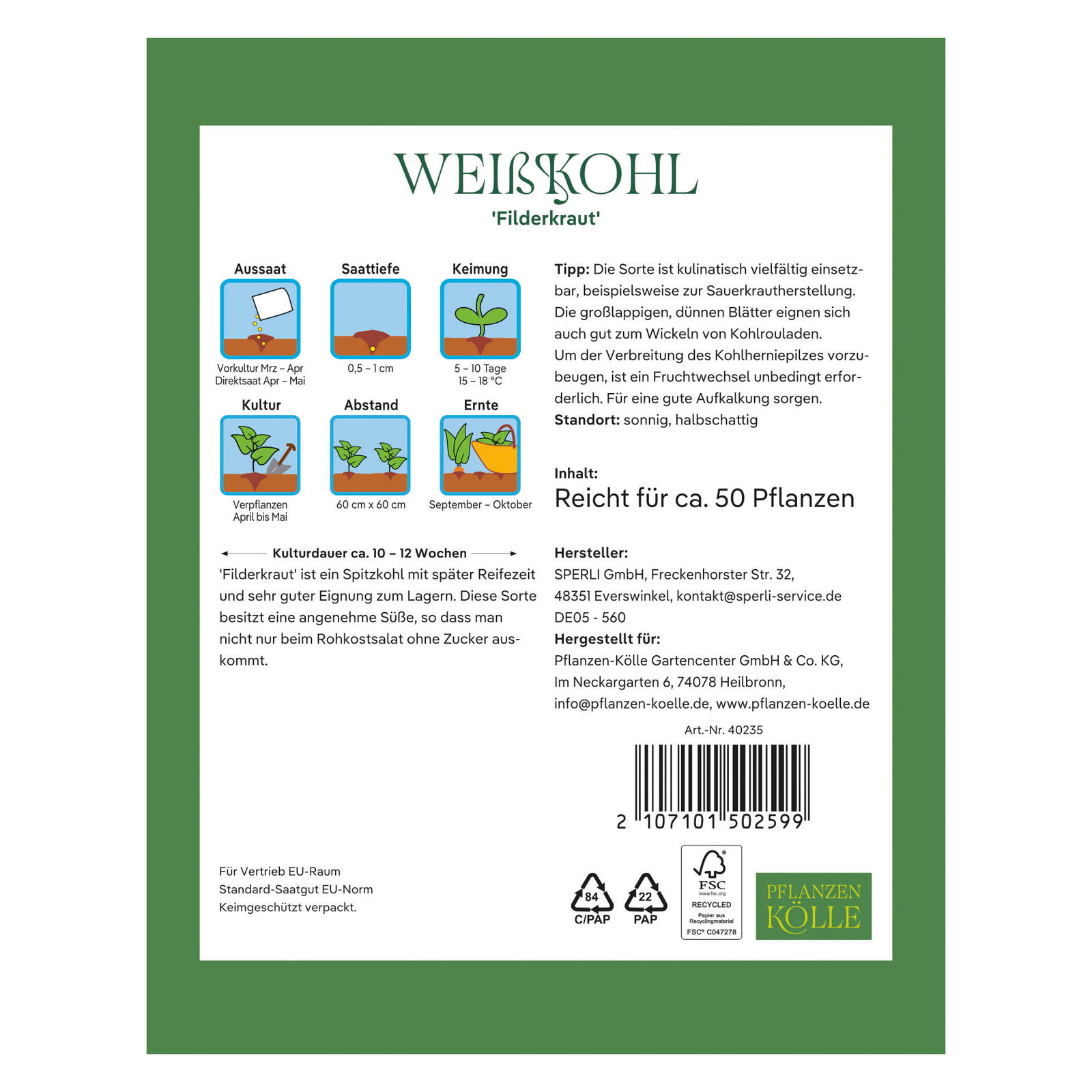 Kölles Beste Saatgut Spitzkohl 'Filderkraut', grün