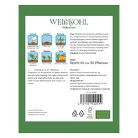 Kölles Beste Saatgut Spitzkohl 'Filderkraut', grün