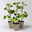 Malve 'Primley Blue' blauviolett, Topf 11x11 cm, 3 Pflanzen Malve 'Primley Blue' blauviolett, Topf 11x11 cm, 3 Pflanzen