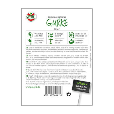 Gemüsesamen, Salatgurken 'Silor' F1 Gemüsesamen, Salatgurken 'Silor' F1