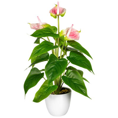 Kunstpflanze Anthurie, rosa, Höhe ca. 40 cm