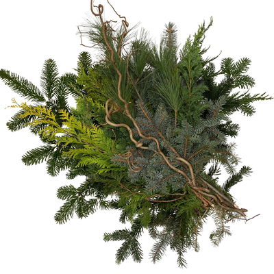 Koniferenstrauß aus verschiedenem Schnittgrün, Länge ca. 60 cm, 2 Bund