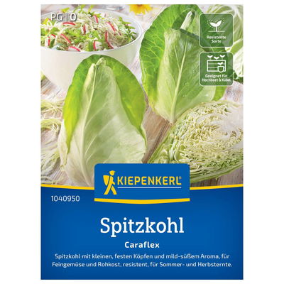 Gemüsesamen, Spitzkohl 'Caraflex'