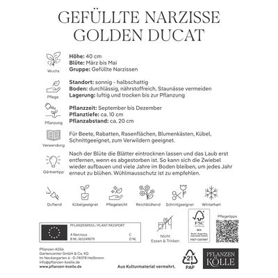 XXL Gefüllte Narzissen Golden Ducat gelb, 5 Blumenzwiebeln XXL Gefüllte Narzissen Golden Ducat gelb, 5 Blumenzwiebeln