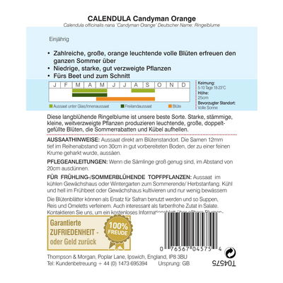 Thompson & Morgan Ringelblume 'Candyman Orange'