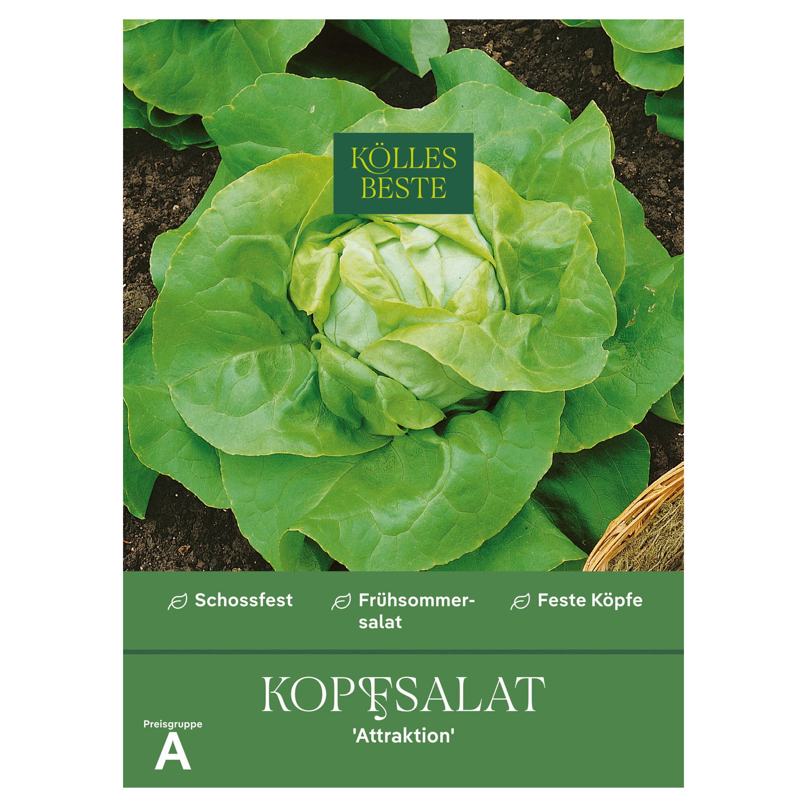 Kölles Beste Gemüsesamen Kopfsalat 