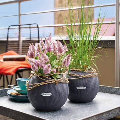 Lechuza 'Puro Color 20', schiefergrau, ca. Ø 20 x H 16 cm