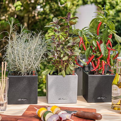 Lechuza 'Canto Stone 14', steingrau, ca. 14 x 14 x H 13,5 cm