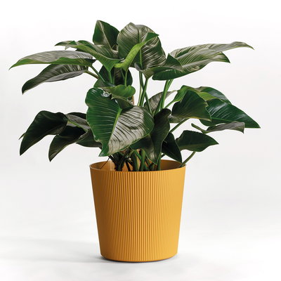 Euro 3 Plast Pflanzgefäß 'Fyre', mango, ca. Ø 35 x H 34 cm