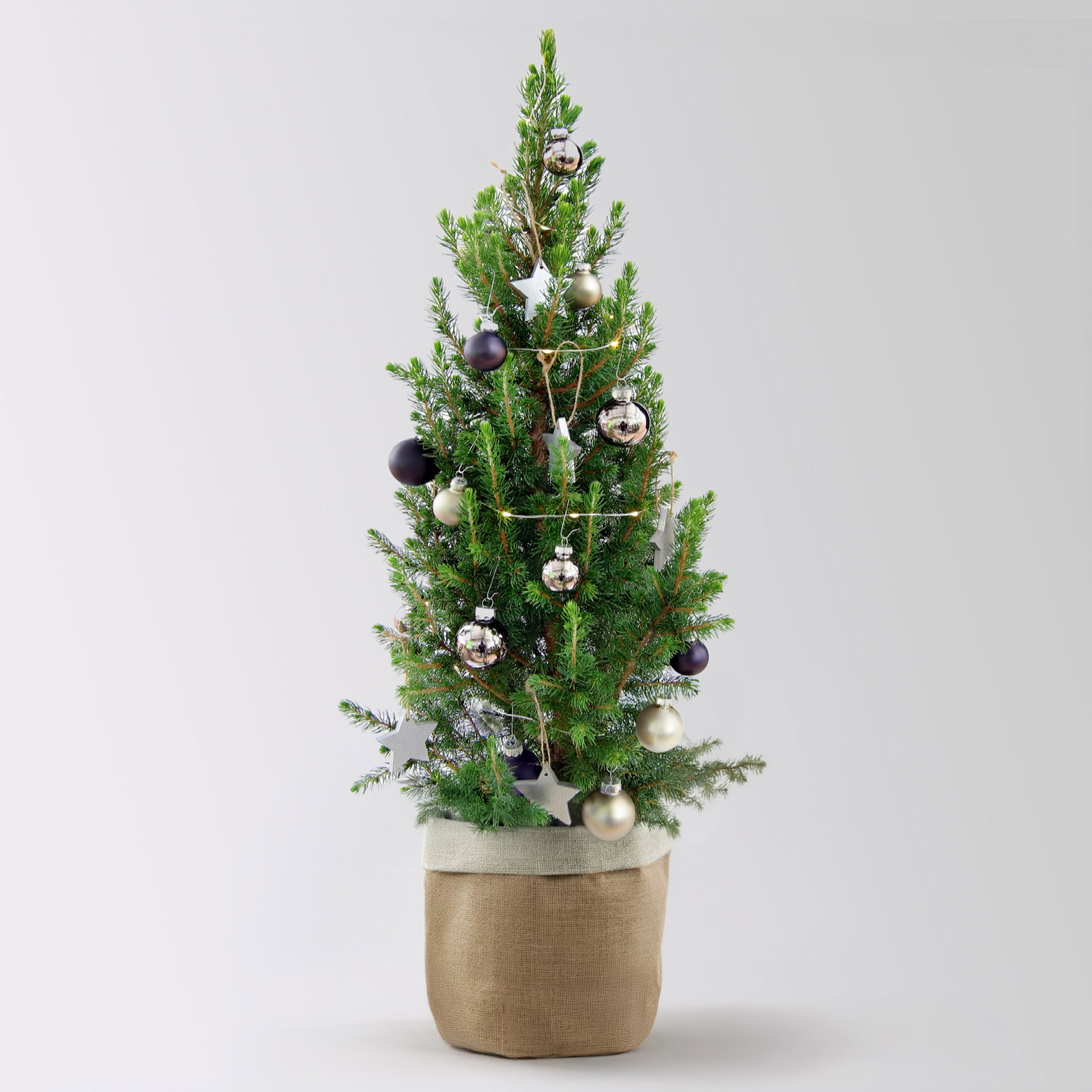 Weihnachtsbäumchen inkl. Deko, silber-schwarz, Höhe ca. 50 cm, Topf-Ø 23 cm
