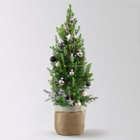 Weihnachtsbäumchen inkl. Deko, silber-schwarz, Höhe ca. 50 cm, Topf-Ø 23 cm