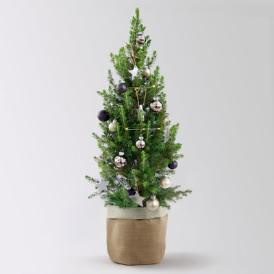 Weihnachtsbäumchen inkl. Deko, silber-schwarz, Höhe ca. 50 cm, Topf-Ø 23 cm