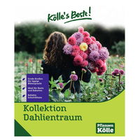 Kölle's Beste Blumenknollenmischung 'Dahlientraum'