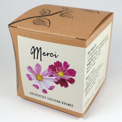Anzuchtset 'Merci', Seestern Kosmee Anzuchtset 'Merci', Seestern Kosmee