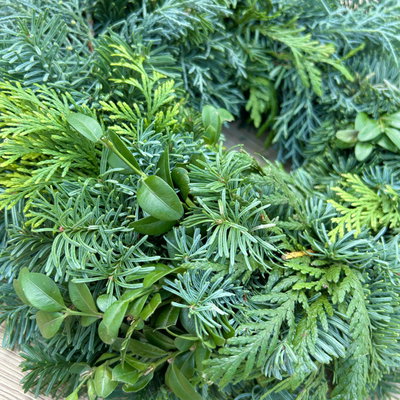 Stumpenkranz aus Mixgrün, halbrund gebunden, ca. 20 cm Ø, 2 Stück Stumpenkranz aus Mixgrün, halbrund gebunden, ca. 20 cm Ø, 2 Stück