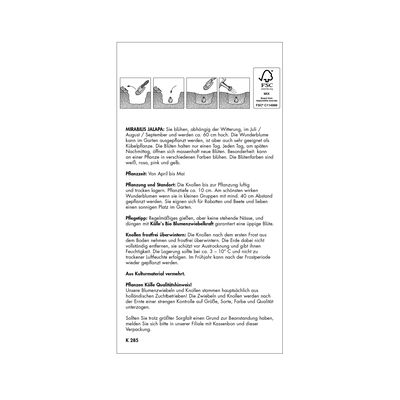 Wunderblume Mirabilis Jalapa, Mischung, Größe 1, 5 Blumenzwiebeln Wunderblume Mirabilis Jalapa, Mischung, Größe 1, 5 Blumenzwiebeln