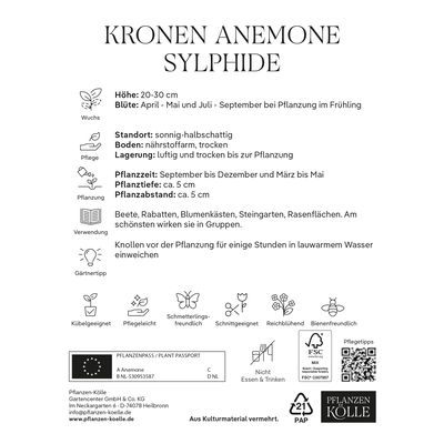 Kronen-Anemonen 'Sylphide', pink, Größe 7/8, 10 Blumenzwiebeln Kronen-Anemonen 'Sylphide', pink, Größe 7/8, 10 Blumenzwiebeln