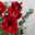 Schnittblumen-Mix aus 3 weihnachtsroten Amaryllis & 3 Eukalyptus