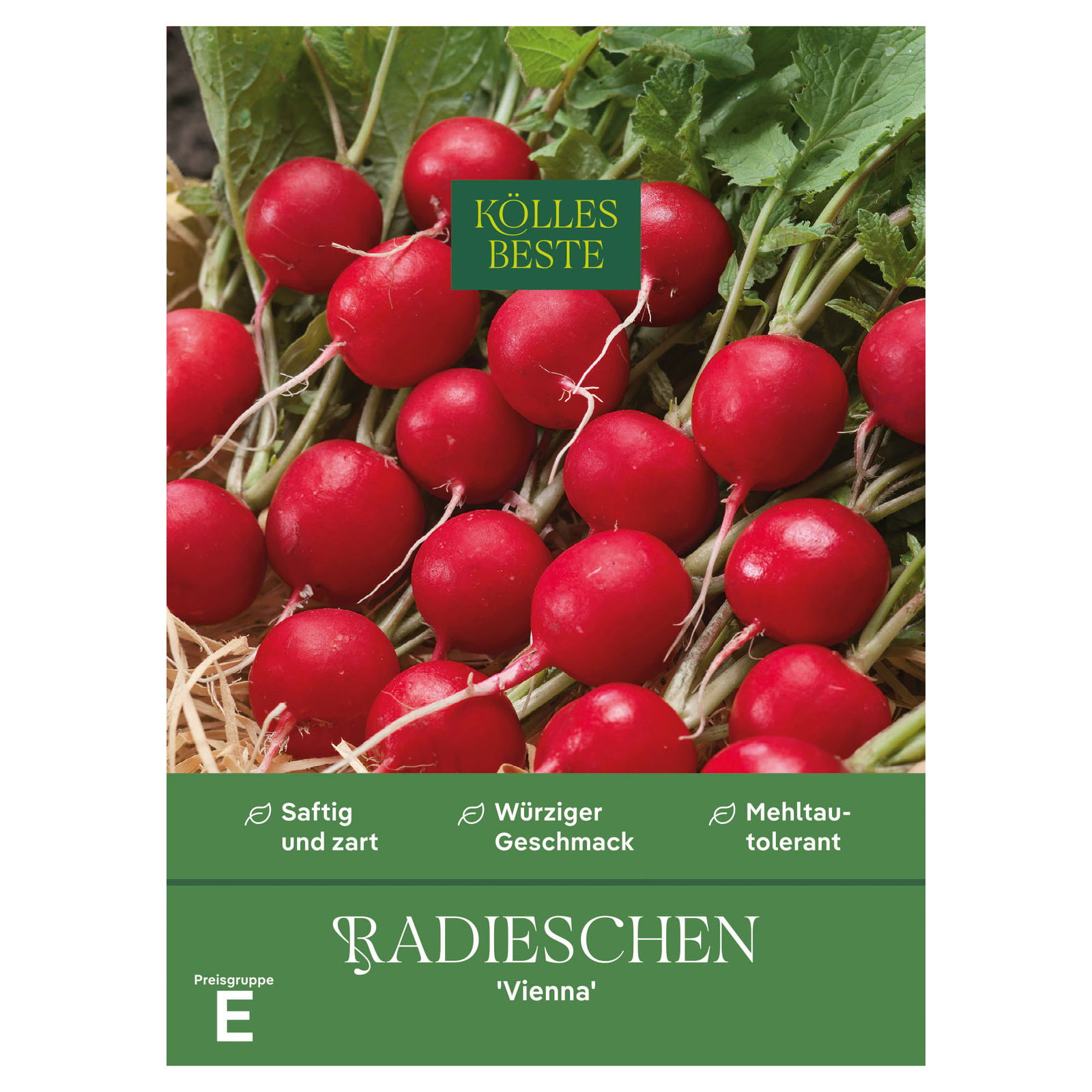 Kölles Beste Gemüsesamen, Radieschen 'Vienna'