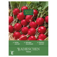 Kölles Beste Gemüsesamen, Radieschen 'Vienna'