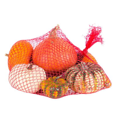 Zierkürbisse im Netz, verschiedene Sorten, Größen und Farben, 2er-Set Zierkürbisse im Netz, verschiedene Sorten, Größen und Farben, 2er-Set