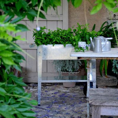 Hochbeet-Trolley mit Rädern, silber, Metall, 75 x 35 x 80 cm, 47 l Hochbeet-Trolley mit Rädern, silber, Metall, 75 x 35 x 80 cm, 47 l