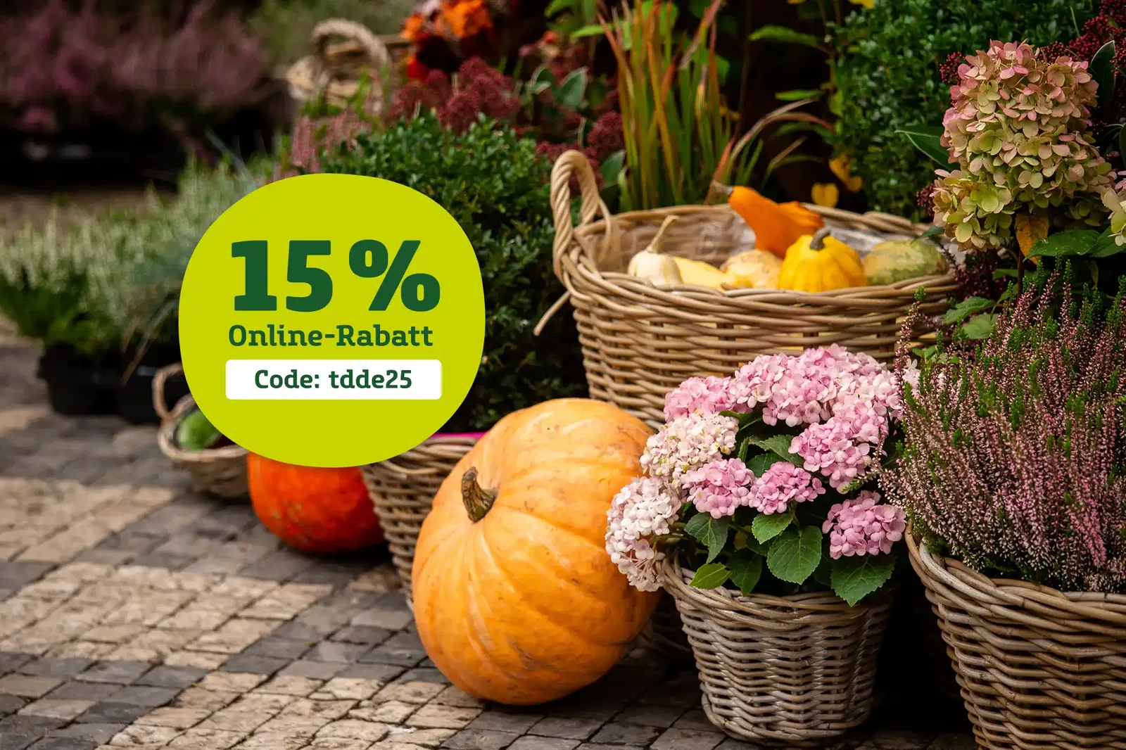 Herbstliche Gartendekoration mit Kürbissen, Heide, Gräsern und Hortensien in Geflechtkörben. Hinweis auf 15 % Online-Rabatt mit Code: tdde25