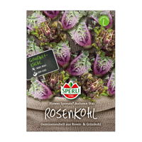 Gemüsesamen, Rosenkohl 'Flower Sprouts' & 'Autumn Star'