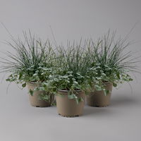 Mixtopf 'Silberstruktur', 3er-Set, grau-silber, Topf 13 cm Ø