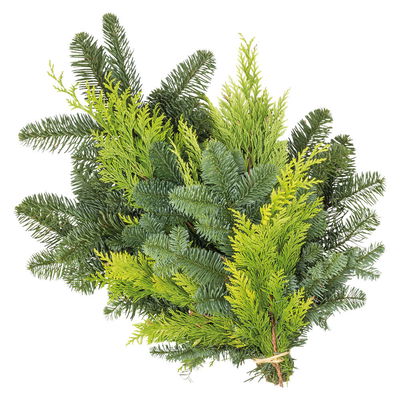 Tannenzweige im kleinen Handbund aus Nobilis und Konifere/Zypresse, 6 Bund Tannenzweige im kleinen Handbund aus Nobilis und Konifere/Zypresse, 6 Bund