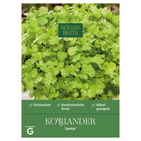 Kölles Beste Saatgut Koriander 'Jantar', grün Kölles Beste Saatgut Koriander 'Jantar', grün