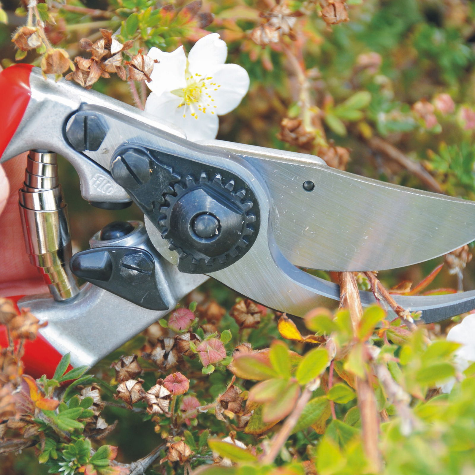 Felco Gartenschere Nr. 9 Felco Gartenschere Nr. 9