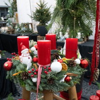 Gartenschule Kreativ 