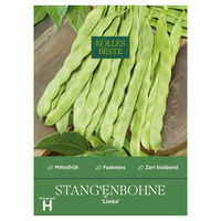 Kölles Beste Saatgut Stangenbohne 'Limka', grün